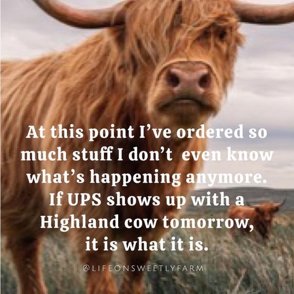 Happy poshing! Avatars created by @shpstumblergurl - Picture 11 of 15